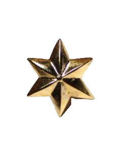 Estrella de 6 PUNTAS - UNIDAD